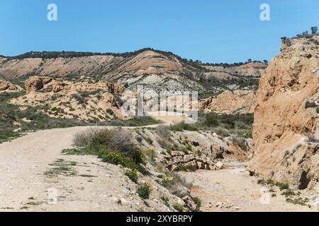 Piste de terre sèche serpente à travers le paysage rocheux avec des collines et de la végétation, Bardenas Reales Parc naturel, Bardena Negra, désert, semi-désert, Navarre, NAF Banque D'Images