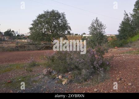 Ancienne mine abandonnée ruine paysage rouge avec des arbres à Mina de Sao Domingos, Portugal, Europe Banque D'Images