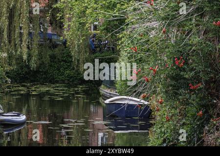 Canal calme avec un bateau et des fleurs rouges sur la rive, entouré d'une végétation dense, 2 Banque D'Images