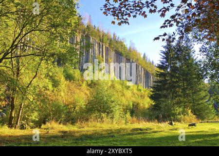 Tuyaux d'orgue Scheibenberg en basalte dans l'Erzgebirge, colonne de basalte Scheibenberg dans l'Erzgebirge, Saxe Banque D'Images