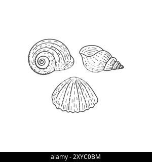 Vintage rétro dessiné à la main esquisse de gravure de Ocean Nautilus et Shell, illustration vectorielle Illustration de Vecteur