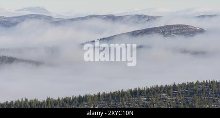 Brouillard matinal à Engerdalsfjellet, Hedmark Fylke, Norvège, octobre 2011, Europe Banque D'Images