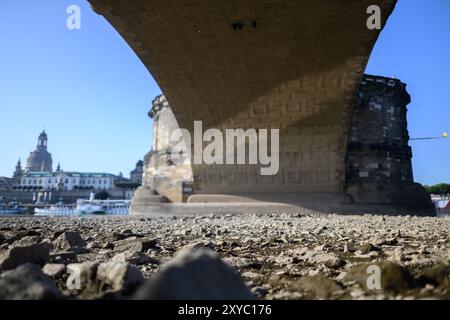 Dresde, Allemagne. 29 août 2024. Les rives de l'Elbe en contrebas du pont Auguste en face de la vieille ville avec la Frauenkirche en toile de fond sont sèches. Le niveau de l'Elbe à Dresde est actuellement de 80 centimètres. Crédit : Robert Michael/dpa/Alamy Live News Banque D'Images