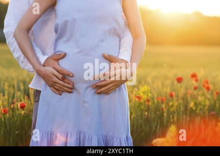 Belle Jeune femme enceinte dans quelques champs de coquelicots. Close up Banque D'Images