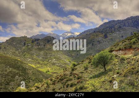 Paysage de montagne vert avec des arbres simples sous ciel nuageux, neige sur le sommet de la montagne, Lefka Ori, montagnes blanches, massif de montagne, ouest, Crète, Grèce, E Banque D'Images