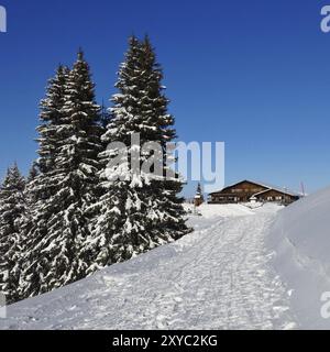 Scène hivernale au sommet du Mt Wispile, Gstaad. Arbres couverts de neige et chalet en bois. Restaurant Summit Banque D'Images