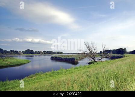 Vélo Tour Oder région, Brandebourg, Allemagne, Europe Banque D'Images