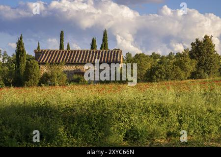 VAL D'ORCIA TOSCANE, ITALIE, 19 MAI : champ de coquelicots et ancienne ferme en Toscane le 19 mai 2013 Banque D'Images