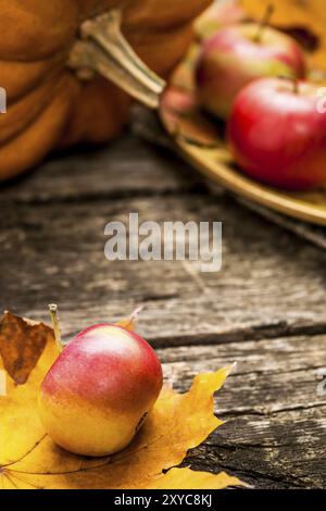 Fond d'automne avec des pommes, de la citrouille et de la feuille d'érable sur une vieille table en bois. Concept du jour de Thanksgiving. Faible profondeur de champs Banque D'Images