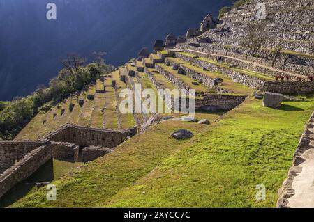 Staurs à la célèbre cité inca perdue de Machu Picchu, Pérou, Amérique du Sud Banque D'Images