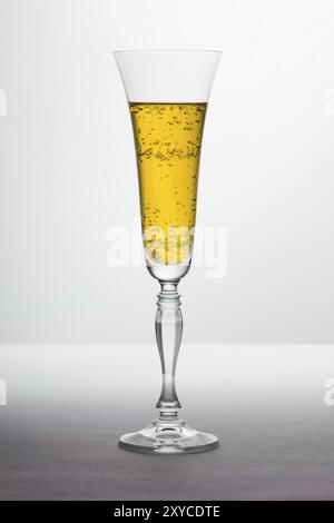 Un verre de champagne sur fond gris. Gros plan Banque D'Images