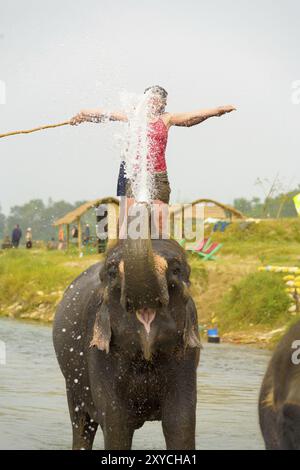 Chitwan, Népal, le 4 décembre 2007 : une touriste en rouge appréciant de se faire éclabousser par la trompe d'éléphant lors d'une promenade à dos d'éléphant au parc national de Chitwan, A Banque D'Images