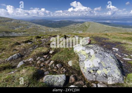 Vue de la montagne Elgahogna, parc national de Femundsmarka, au lac Femunden, Hedmar Fylke, Norvège, juillet 2011, Europe Banque D'Images