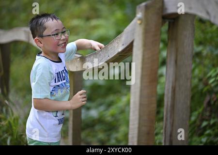 Enfant, garçon âgé de 5 ans, multiethnique, jouant avec des billes sur la piste de marbre XXL, sentier forestier aventure NATURATUM, Schwaebisch Gmuend, Bade-Wuerttemberg, Ger Banque D'Images