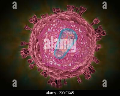 Grappe du virus VIH. Le VIH est le virus de l'immunodéficience humaine qui peut conduire au syndrome d'immunodéficience acquise, ou SIDA Banque D'Images