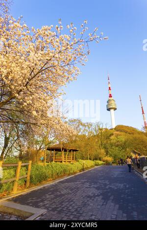 Séoul, Corée du Sud, 17 avril 2015 : touristes sur le sentier menant à Namsan N Seoul Tower pendant la saison des cerisiers en fleurs colorés sur un joli sprin Banque D'Images