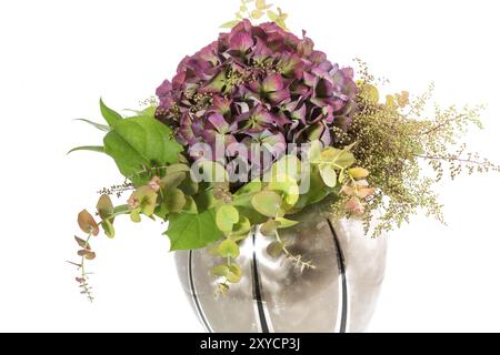 Fleur d'hortensia dans un vase Banque D'Images