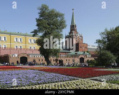 Kremlin de Moscou Banque D'Images