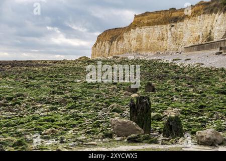 Pierres, plage et falaise à Cuckmere Haven, près de Seaford, East Sussex, Royaume-Uni Banque D'Images