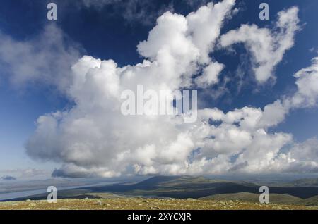 Vue de la montagne Elgahogna, parc national de Femundsmarka, au lac Femunden, Hedmar Fylke, Norvège, juillet 2011, Europe Banque D'Images