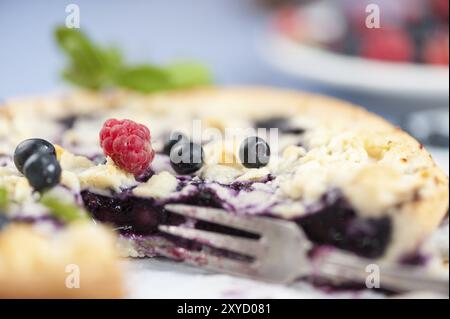 Gâteau aux myrtilles avec des myrtilles fraîches et une framboise sauvage comme garniture. Gros plan. Un gâteau aux myrtilles, avec des myrtilles fraîches et une framboise sur le dessus. Banque D'Images