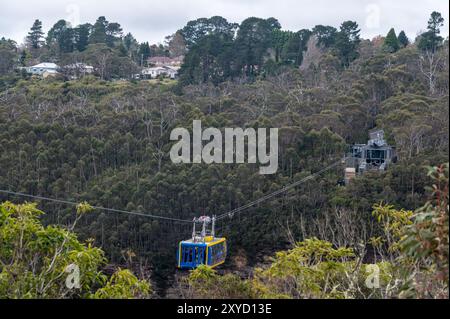 Glissant entre les sommets des falaises au-dessus de la Jamison Valley à 270 mètres, se trouve le téléphérique le plus haut d'Australie, un téléphérique panoramique au sol en verre (téléphérique) Banque D'Images