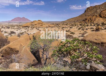 Région de Spitzkoppe en Namibie Banque D'Images