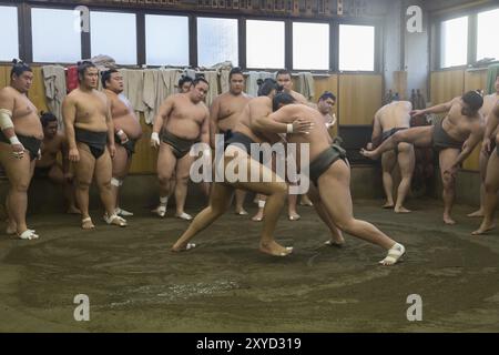 Tokyo, Japon, 21 décembre 2014 : un lutteur de sumo japonais s'entraîne dans son stand dans le district de Ryogoku, en Asie Banque D'Images