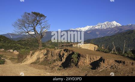 Scène sur le chemin de Ghale Gaun. Arbre, hangar et chaîne d'Annapurna enneigée Banque D'Images