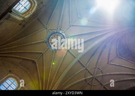 Coria, Espagne - 31 août 2023 : Cathédrale notre-Dame de l'Assomption de Coria, Caceres, Espagne. Voûtes côtelées étoilées au-dessus du rétrochoir Banque D'Images