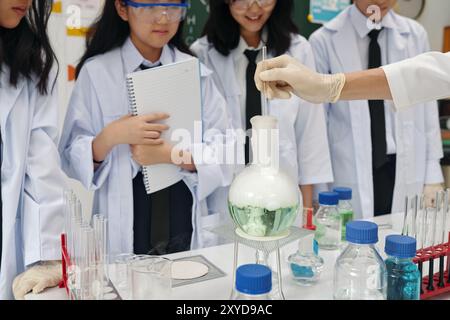 Observation de l'expérience chimique en laboratoire Banque D'Images