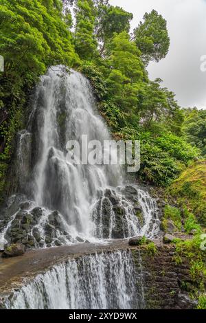 La cascade du Parque Natural da Ribeira dos Caldeiroes, Sao Miguel, Açores, verticale Banque D'Images