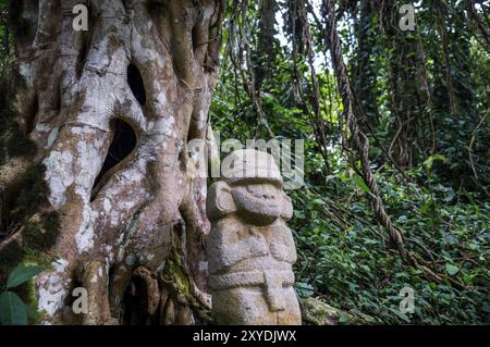 San Agustin, Colombie : une statue mystérieuse d'un homme se dresse dans la forêt tropicale à côté d'un vieil arbre avec de grandes racines. Les statues de San Agustin Banque D'Images