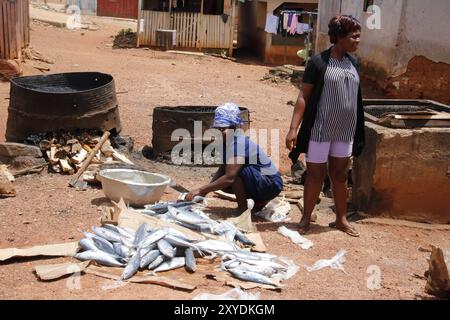 Femme âgée se préparant à griller du poisson Banque D'Images