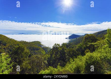 Une mer de nuages de plumes la vallée ci-dessous vu de dessus dans les montagnes de hill country à Haputale, Sri Lanka. L'horizontale Banque D'Images