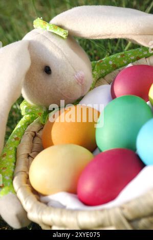 Lapin de Pâques avec un panier plein d'œufs colorés. Nature printanière pittoresque Banque D'Images