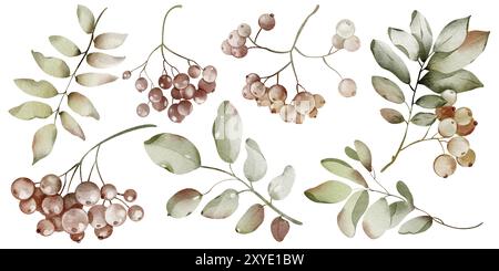 Baies d'herbier d'aquarelle d'automne et feuilles illustration isolée Banque D'Images
