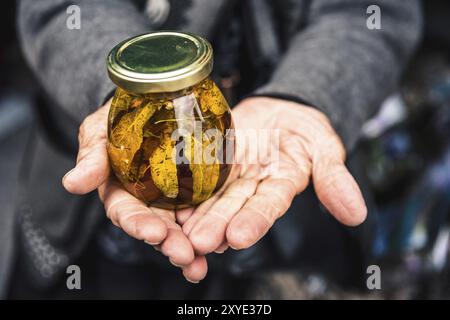 Les vieilles mains froissées tiennent un pot avec de la confiture de montagne des feuilles des arbres caucasiens dans les montagnes Banque D'Images