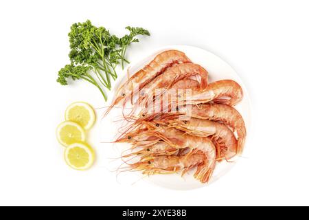 Une photo prise à la verticale du plateau de crevettes crues sur blanc, de persil et de rondelles de citron, with copy space Banque D'Images