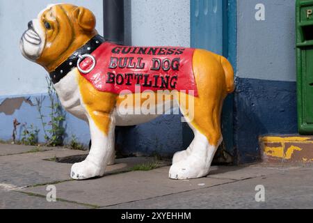 Ornement coloré de rue, bouledogue avec collier noir et couverture rouge, lettrage dit Guinness Bull Dog Bottling. Ballycastle, Royaume-Uni - 26 août 2024 : Banque D'Images