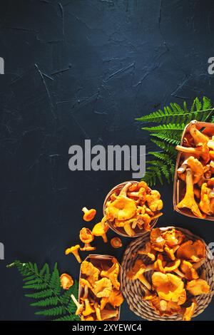 Chanterelles forestières fraîches crues dans des paniers sur planche d'ardoise noire. Vue de dessus, espace de copie. Contexte alimentaire Banque D'Images