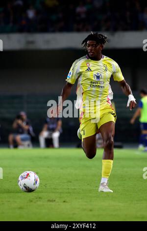 Vérone, Italie. 26 août 2024. Mbangula Samuel (juventus) en action lors du match de football Serie A enilive entre les Hellas Vérone et la Juventus au stade Marcantonio Bentegodi, au nord de l'est de l'Italie - lundi 26 août 2024. Sport - Soccer (photo de Paola Garbuio /Lapresse) crédit : LaPresse/Alamy Live News Banque D'Images