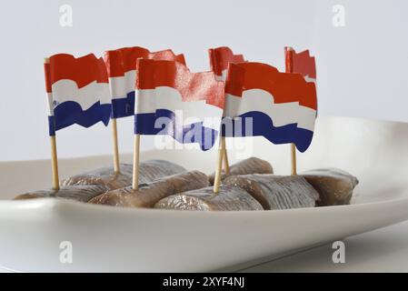 Den Helder, pays-Bas. Juin 2022. Hareng cru frais sur une assiette blanche. Isolé. mise au point sélective Banque D'Images