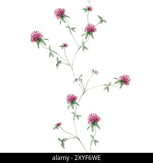 Bannière sans couture avec illustration botanique dessinée à l'aquarelle à la main avec le trèfle rouge de plante sauvage de prairie (trifolium). Bordure avec fleurs et feuilles violettes Banque D'Images