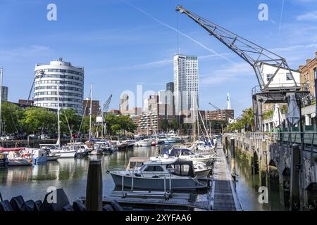 Rotterdam Marina, gastronomie, quartier de la vie nocturne, port de plaisance, bateaux à voile, yachts à moteur, dans le port intérieur, district de Feijenoord, Rot Banque D'Images