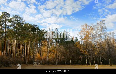 Vieux buts de football à côté de grands arbres dans une forêt du soir d'automne Banque D'Images