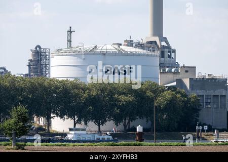 BASF Industrieanlage in Ludwigshafen , Deutschland, 29.08.2024, Ein Großes BASF-Tanksilo in Ludwigshafen, umgeben von industriellen Strukturen und Schornsteinen. IM Vordergrund ist ein Fluss zu sehen, der das industrielle Setting ergänzt. *** Usine industrielle de BASF à Ludwigshafen , Allemagne, 29 08 2024, Un grand silo de citerne de BASF à Ludwigshafen, entouré de structures industrielles et de cheminées, Une rivière est visible au premier plan, complétant le cadre industriel Banque D'Images