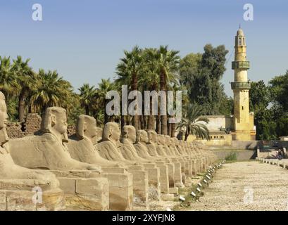 Avenue des sphinx devant le temple, chaussée bordée de sphinx Banque D'Images