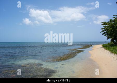 West Bay Beachfront, Roatan Honduras Banque D'Images