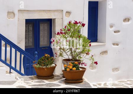 Entrée de maison avec décoration florale, Parikia, Paros, Klyklades, Grèce, Europe Banque D'Images